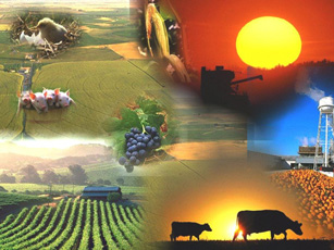 Programa para el Mercado Único: Asociaciones de agrupaciones europeas para la sostenibilidad agroalimentaria (SMP-COSME-2023-AGRICLUSTER)