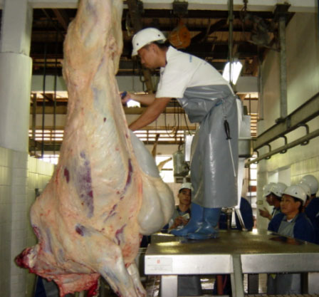 Ref: TRMD20150206001 – Monitorización microbiológica de reses bovinas y porcinas durante el período de venta