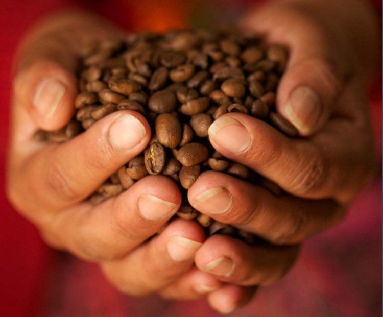 Ref. BOSE20171127002 Empresa sueca que vende café de Ruanda ofrece café arábica bourbon rojo