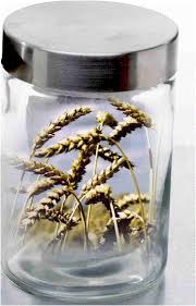 Ref. BRPL20191119001 Productor polaco de aceites prensados en frío de alta calidad busca proveedores de semillas sin fines de siembra