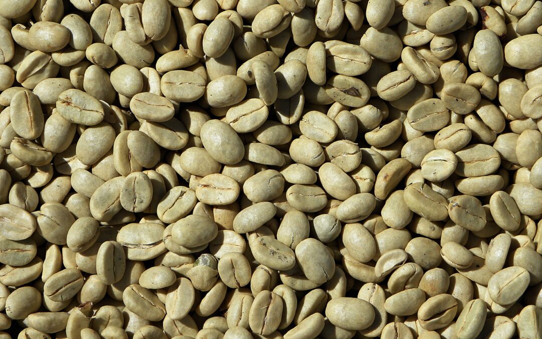 Ref. BOPE20201029003 Asociación peruana especializada en producción y comercialización de café verde ecológico busca distribuidores en Europa
