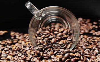 Ref. BRPL20211125002 Empresa polaca del sector del cafe busca proveedores de cafe verde