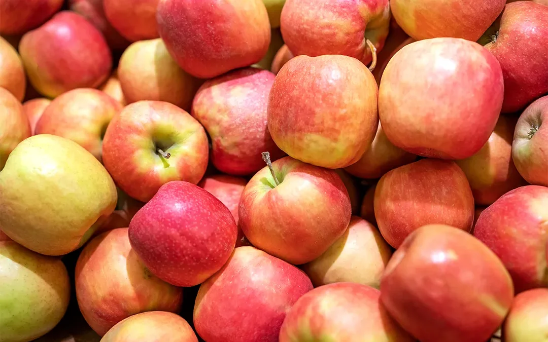 Ref. BRES20230804003 Empresa española busca proveedores de manzanas y peras para acuerdo de proveedores