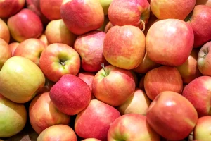 proveedores de manzanas y peras