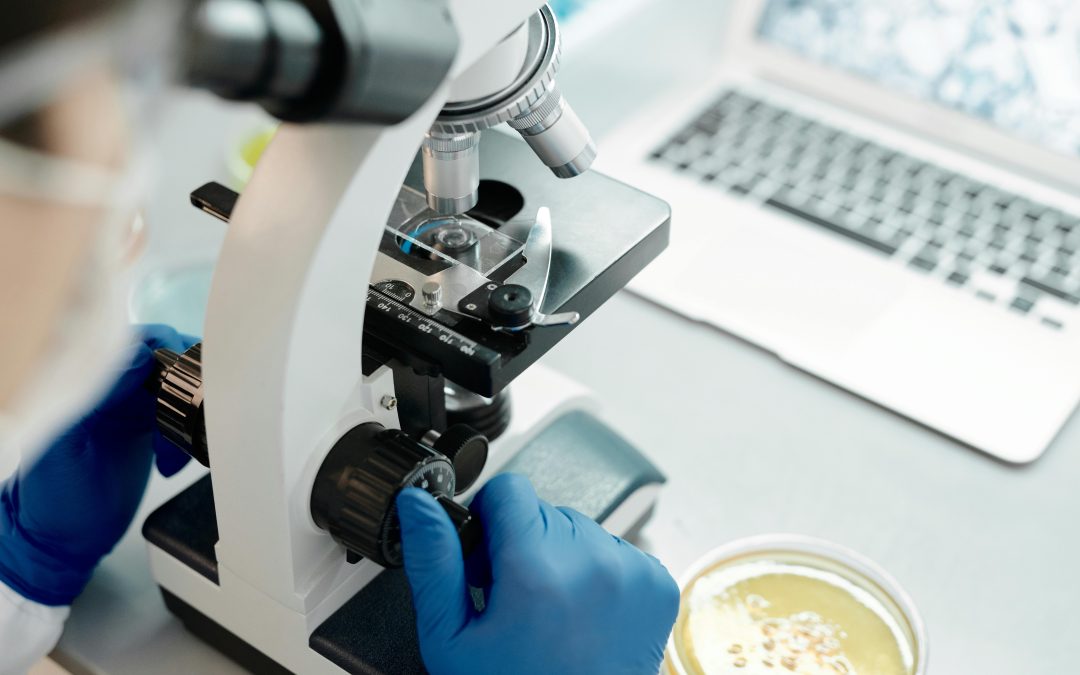 Ref. BRPT20250728014 – Pyme portuguesa busca empresas de tecnología química, de laboratorio y de industria que quieran entrar en el mercado portugués bajo un acuerdo comercial