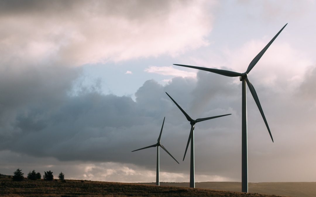 Ref. TRFR20250909009.Una empresa francesa de ingeniería medioambiental busca una solución operativa para la detección (aves y murciélagos) y la restricción de las turbinas eólicas mediante inteligencia artificial.