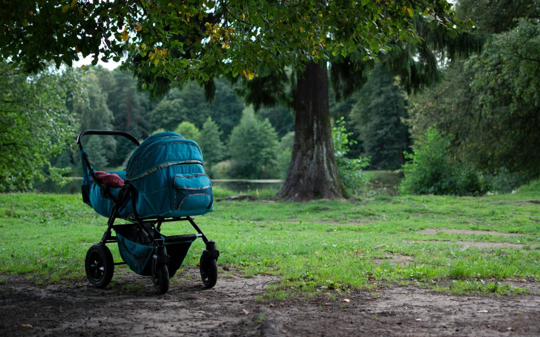 Ref. BRSE20251010005 Una pyme sueca busca un socio de fabricación para su nuevo andador para bebés.