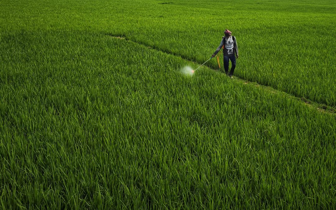 Ref. BRRO20251203001 Una PYME rumana busca productores de fertilizantes y/o pesticidas de la UE bajo un acuerdo comercial
