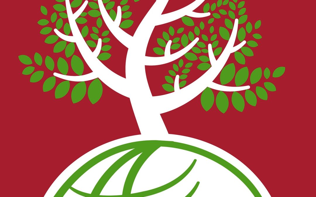 Ref. TOIT20251216007.Solución integral basada en la nube para la recopilación y gestión de datos ESG y la elaboración de informes de sostenibilidad, en cumplimiento con las normas europeas.